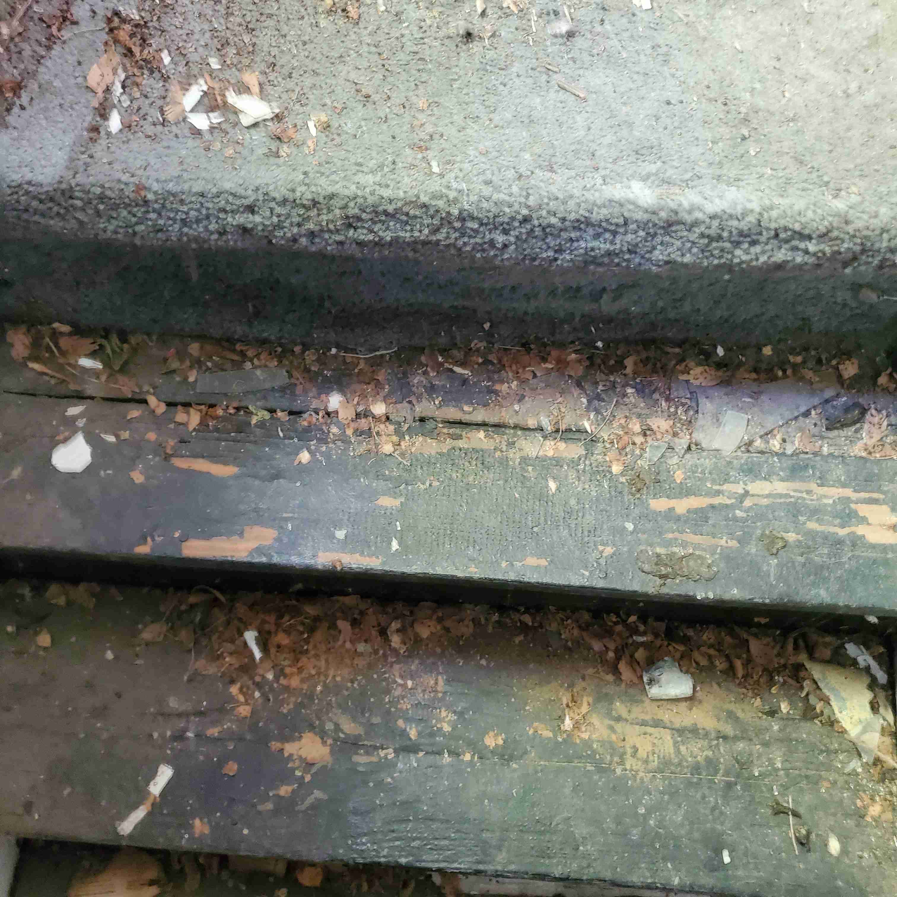 20200812_154413 (2).jpg